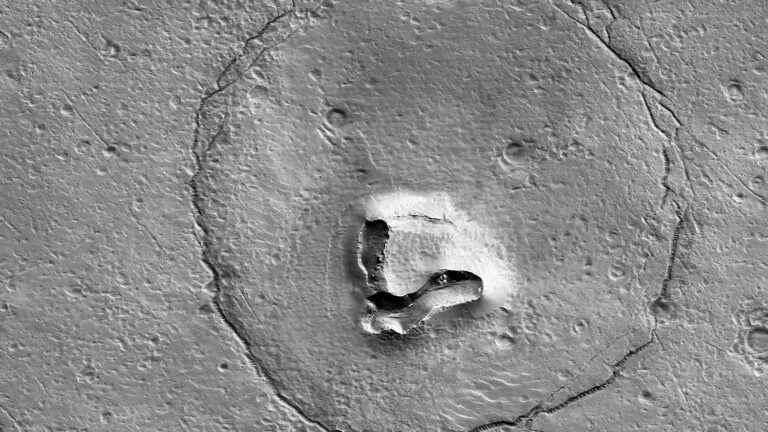 Three questions about pareidolia, our brain’s ability to see a bear’s head on the planet Mars