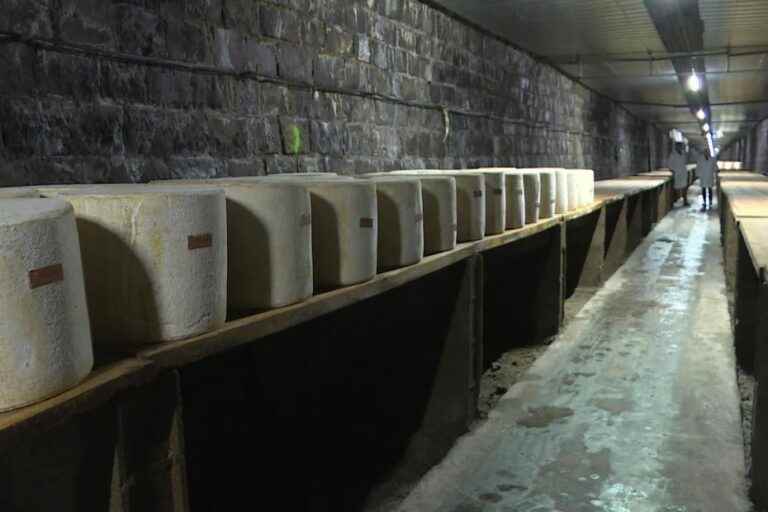 UNUSUAL.  In Cantal, railway lines transformed into cheese tunnels