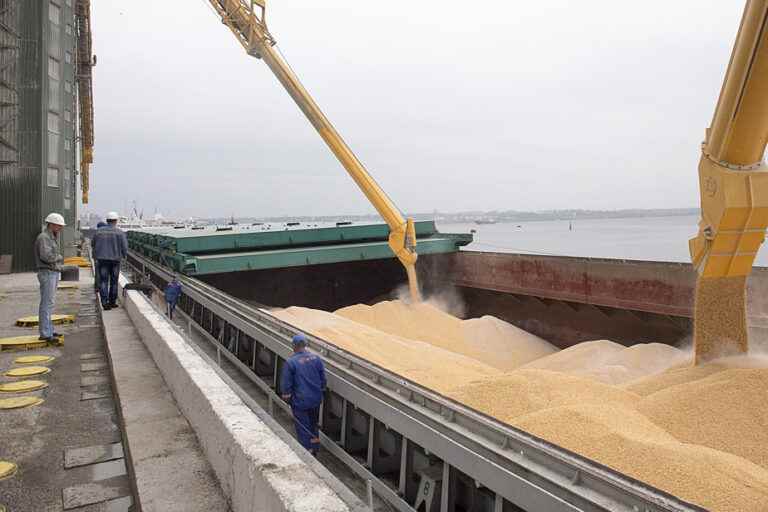 Ukrainian grain exports fall despite UN-brokered deal