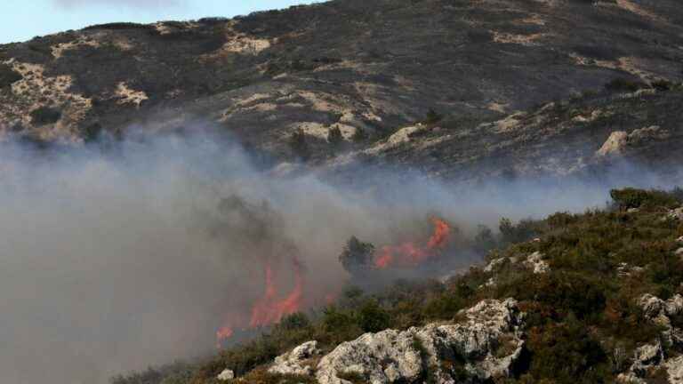 “Vegetation is not recovering from this summer’s heat wave”