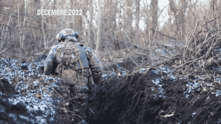 War in Ukraine: a year of resistance