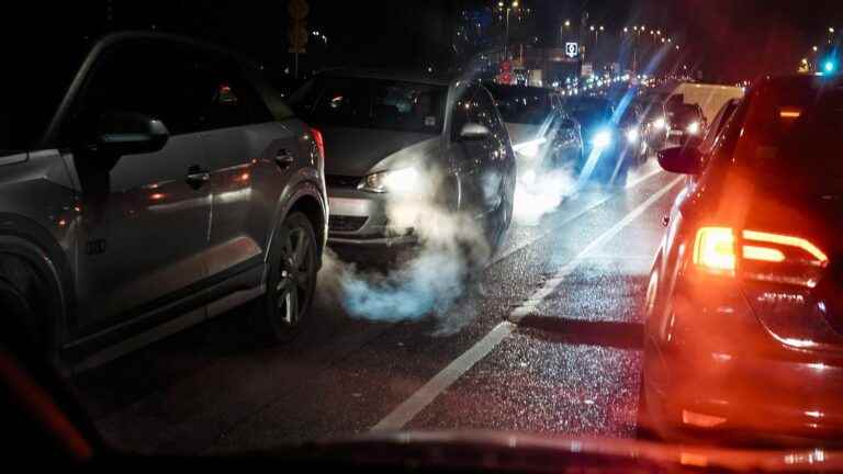 “We need to be accompanied” by the State, warns the environmentalist president of the Metropolis of Lyon who rejects the ban on diesels