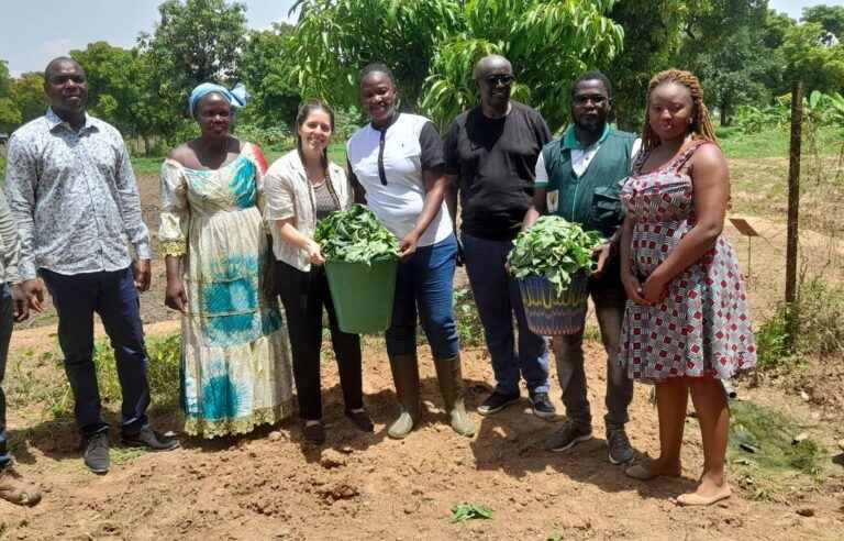 Women of Action (Climate) in Burkina Faso