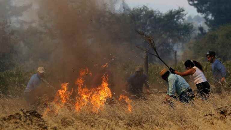 Wood industry, arsonists… How to explain the huge fires ravaging Chile?