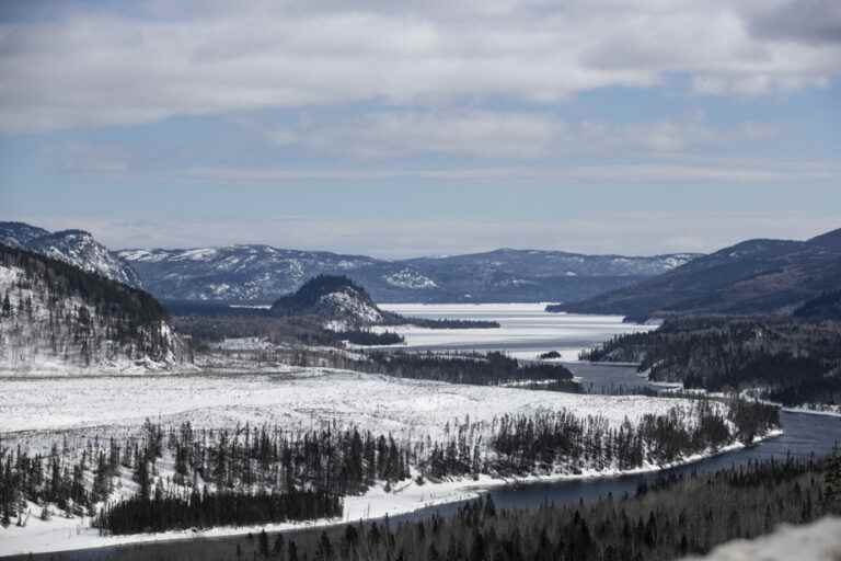 Woodland Caribou of the North Shore |  Quebec plans cuts in protected areas