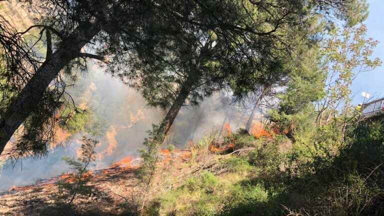 a fire in the Alpilles covers 130 hectares