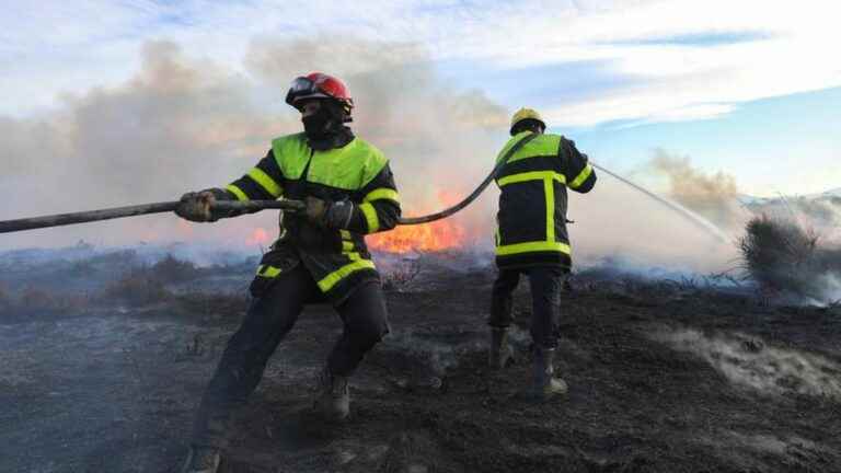 an ongoing fire, more than 40 hectares burned