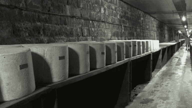 cheeses matured in old railway tunnels