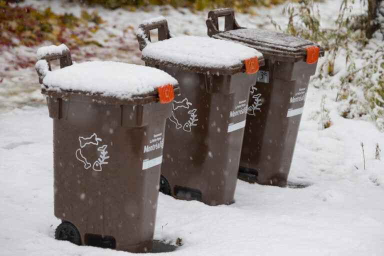 compost |  Shortage of brown bins in certain boroughs