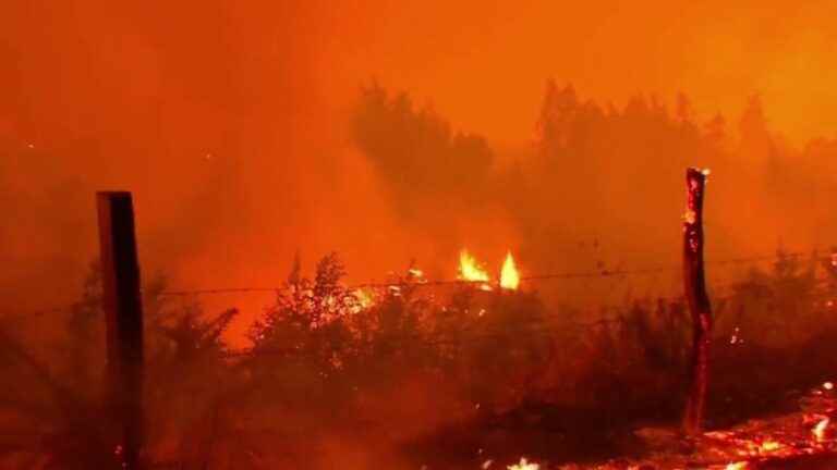 devastating forest fires kill at least 23 people in the center of the country