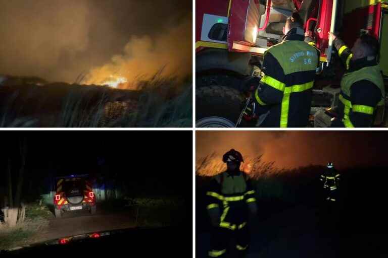 “flames between 4 and 10 m high”, 60 hectares ravaged by fire near Perpignan