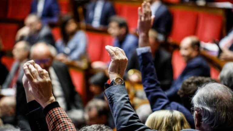 franceinfo junior.  Debates, amendments… Children’s questions on pension reform in the National Assembly