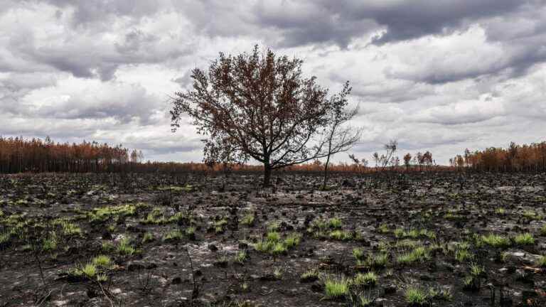 in Hostens, underground fires that do not go out and a ground that threatens to collapse