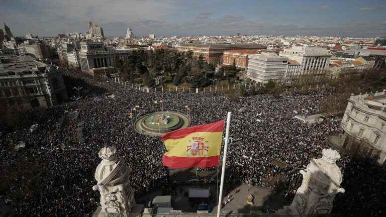 monster demonstration in Madrid to defend the public health system