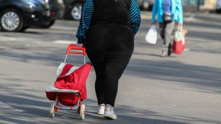 obesity and overweight affect nearly one in two French people