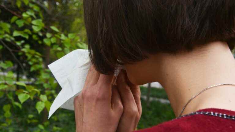 pollen alert, the risk of allergy is high for three quarters of French departments