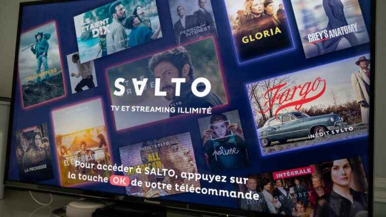 the Salto streaming platform stops, announce France Télévisions, M6 and TF1