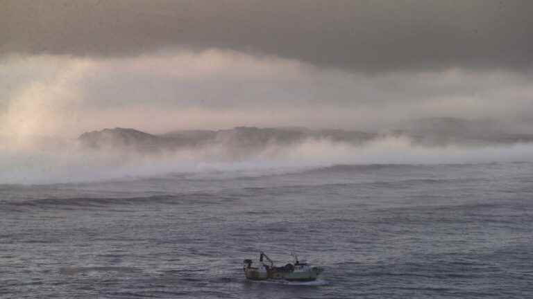 the body of a Frenchman floating at sea found in the port of Nazaré