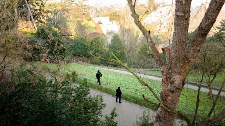 the woman found dismembered in the Buttes-Chaumont park has been identified