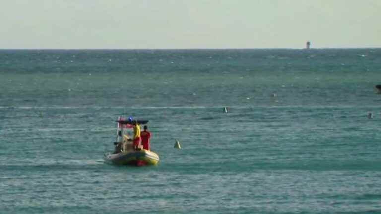 tourist dies after shark attack