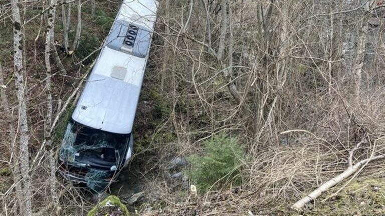 14 injured in a bus accident, transporting children, the driver and an attendant in absolute emergency