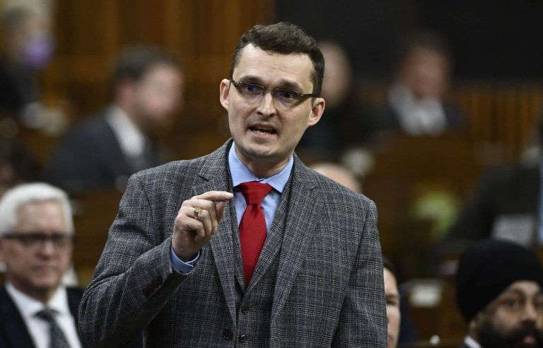 Online citizenship oath would devalue ritual, opposition argues