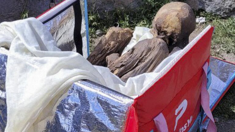 ‘600-800 year old’ mummy found in ex-delivery man’s cooler bag