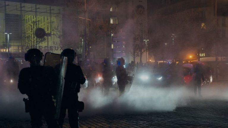 81 arrests in Paris, 7 in Lyon and thousands of demonstrators everywhere in France