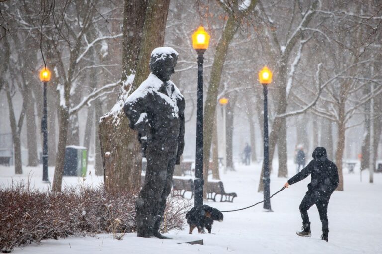 A snowy Saturday for the end of the break