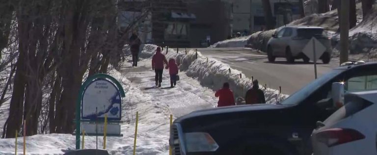 A threatened wooded area in Quebec due to a parking project