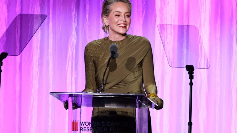 Actress Sharon Stone discusses money worries at breast cancer charity event