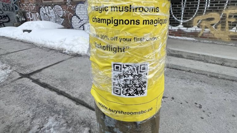 Advertisements everywhere: magic mushrooms take over Hochelaga-Maisonneuve