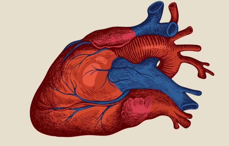 COVID-19 and heart disease: the damage of the pandemic