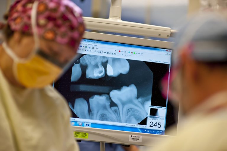 Canadian Dental Benefit |  Parliamentary Budget Officer fears fraud