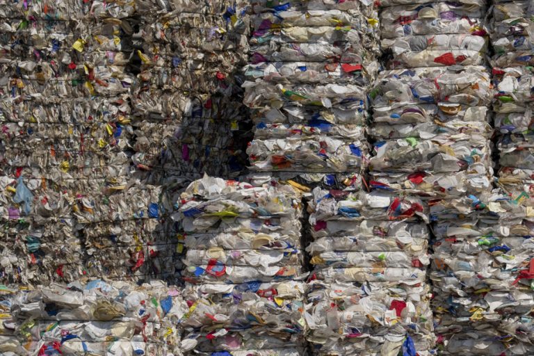 Companies are trying to reverse the ban on single-use plastics