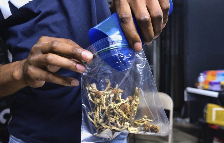 Court reconsiders access to magic mushrooms for training professionals