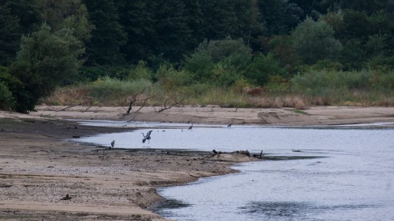 Drôme and Ardèche join the departments placed on early alert, reports the Minister for Ecological Transition