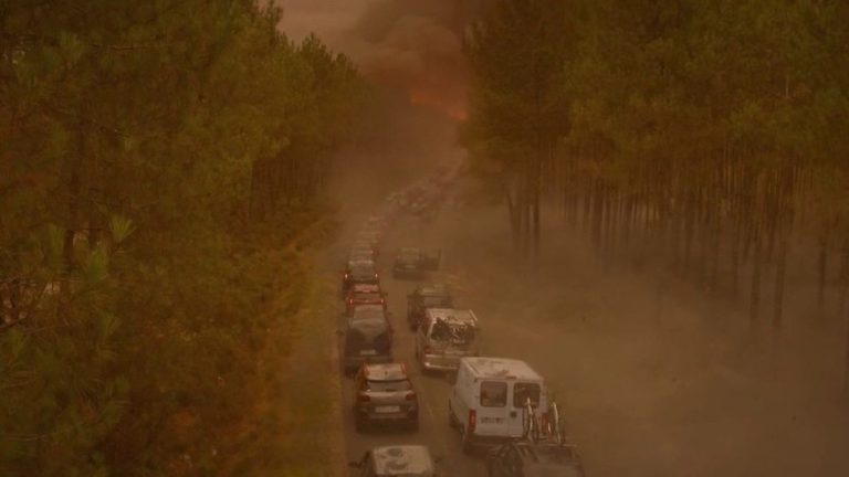 “En plein feu”, a premonitory film on the Landes fires