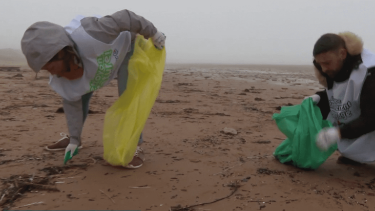 Environment: in Les Sables d’Olonne, volunteers clear the beach of plastic waste