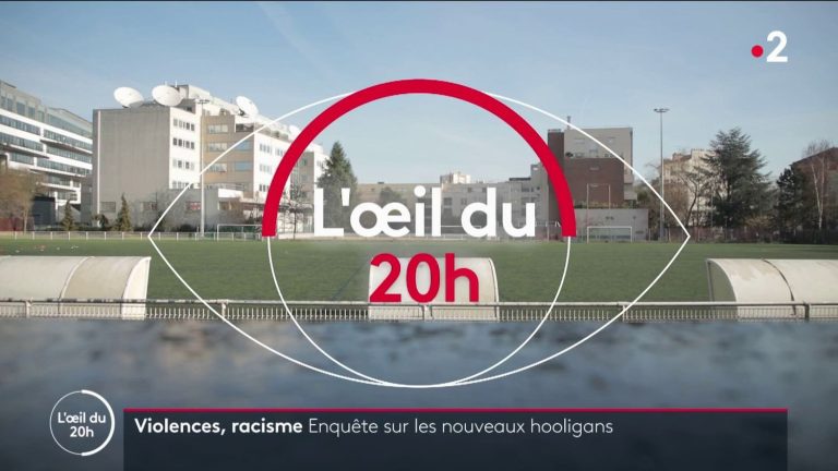 FRANCETV SURVEY.  Aggression, racism, anti-Semitism… At the heart of the stands of football clubs, the uninhibited violence of several groups of hooligans