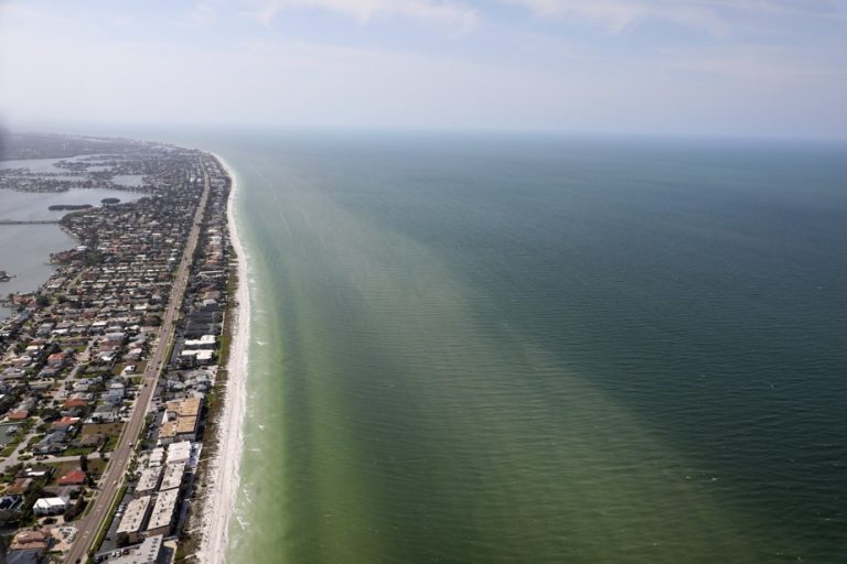 Florida |  A red tide spreads on the coasts and causes health problems