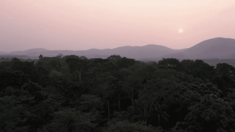 Gabon’s tropical forest, a protected setting