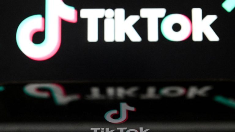 Government bans ‘recreational apps’, including TikTok, on state officials’ phones