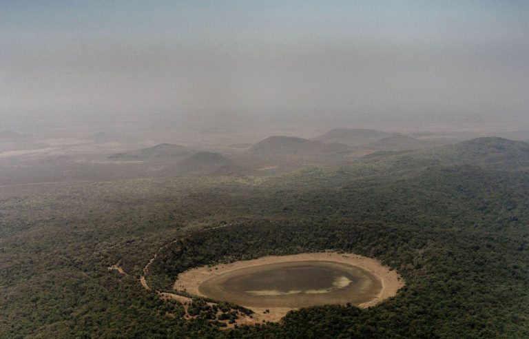 Historic drought in Kenya: national parks are drying up