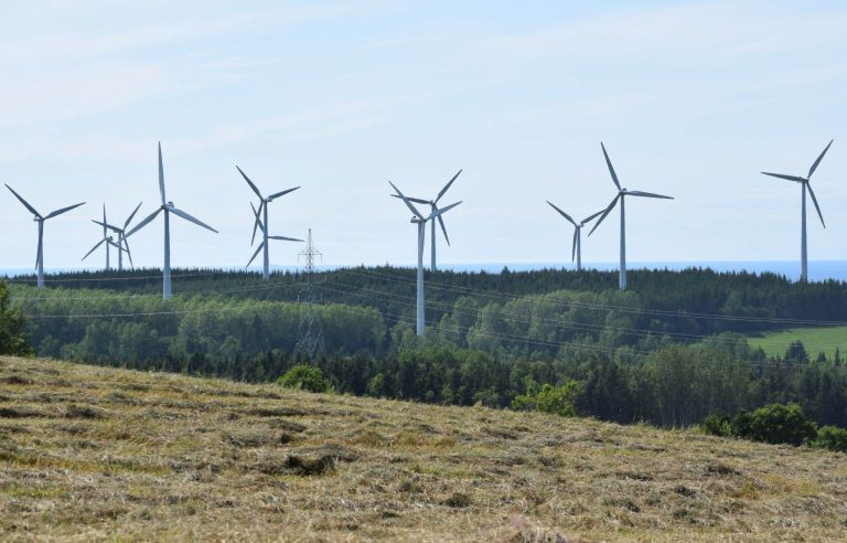 Hydro-Québec retains seven energy production bids, mainly wind power