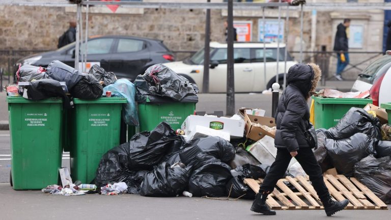 The true from the false.  Did Anne Hidalgo requisition garbage collectors in 2016, as Minister Olivia Grégoire assures?