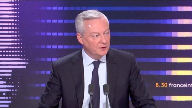 “It would be lunar to have a party that votes for a text in the Senate but not in the National Assembly”, estimates Bruno Le Maire about LR