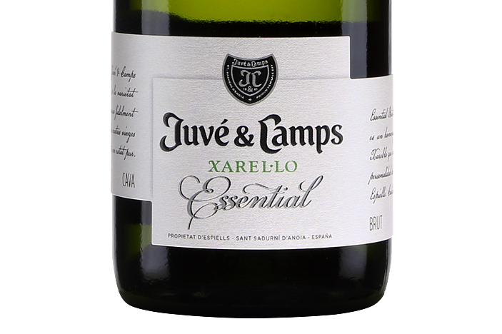 Juvé y Camps Essential Xarel-lo Brut Reserva Cava 2017 |  A rich classic