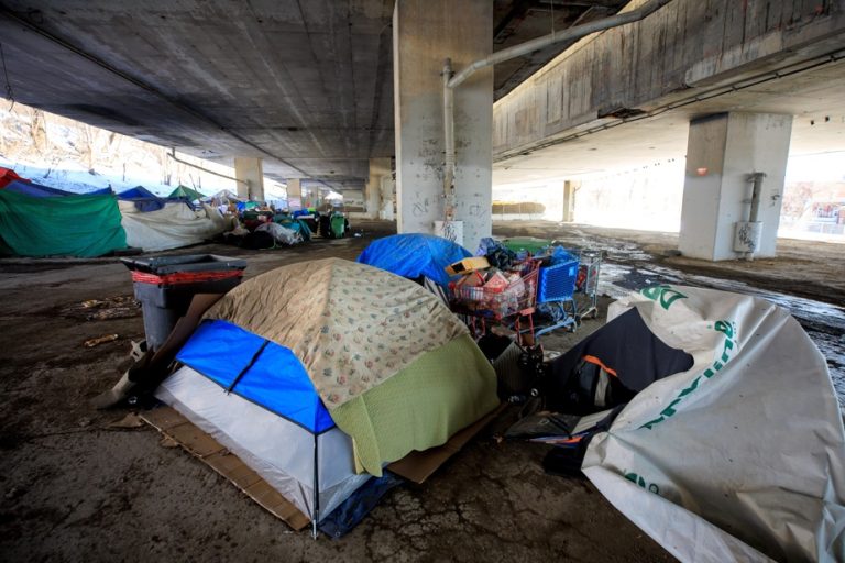 Westmount |  Homeless people in court to avoid the dismantling of their camp