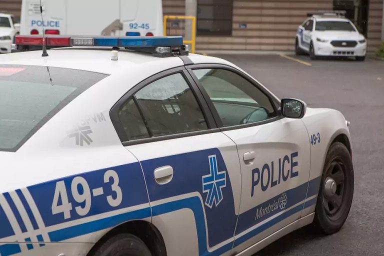 Montreal |  Two individuals suspected of having vandalized 18 SPVM vehicles